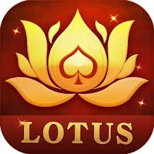 free play teen patti download